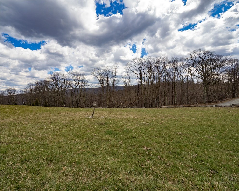 Image number 4 for the current listing