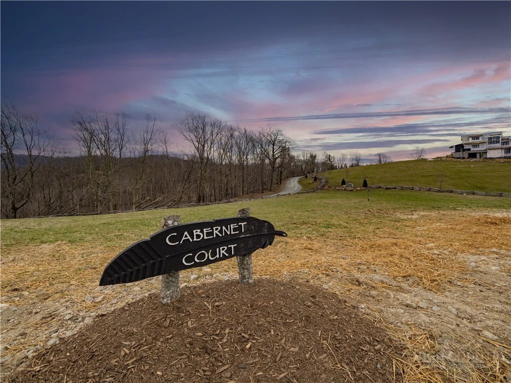 Image number 11 for the current listing