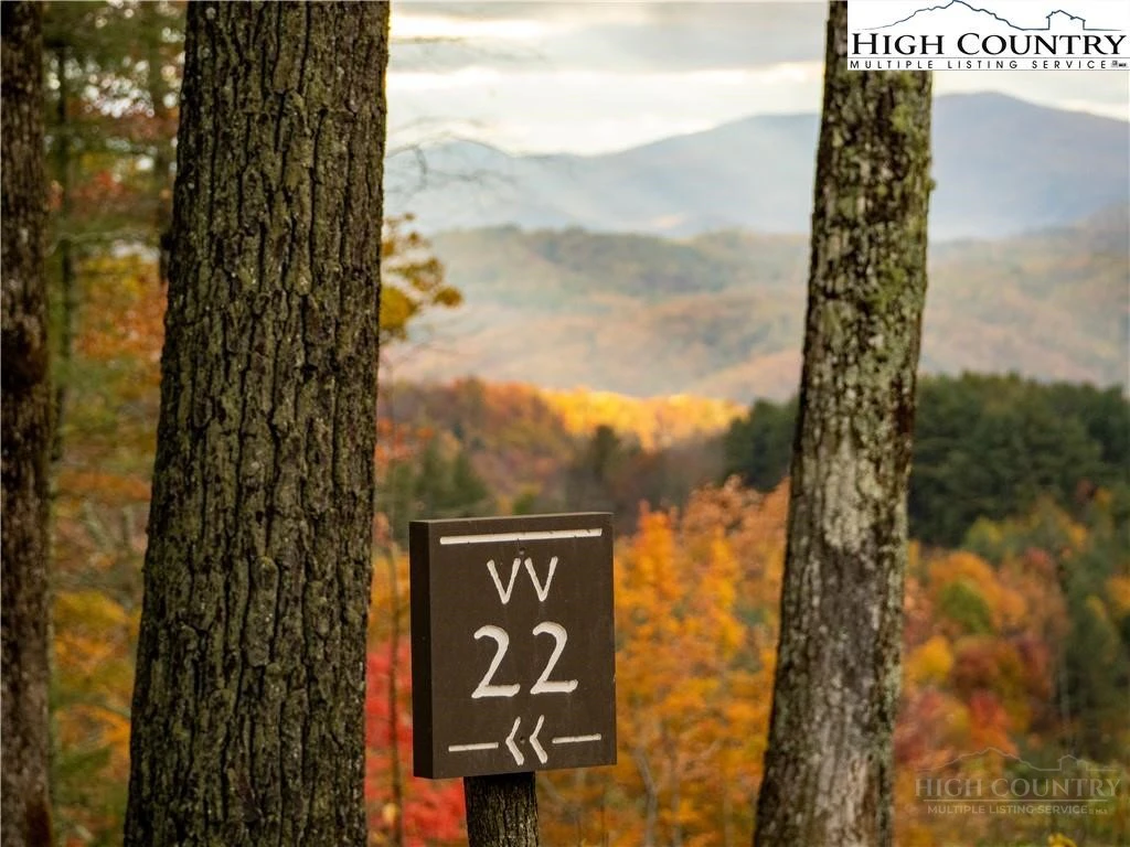 Image number 3 for the current listing