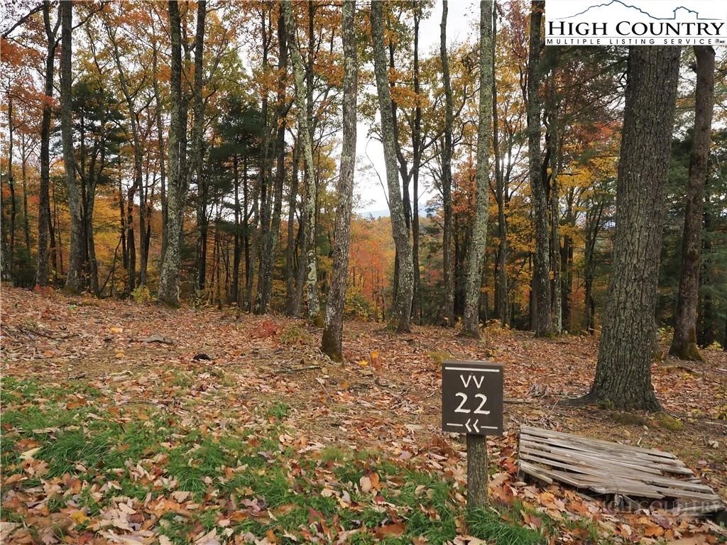 Image number 5 for the current listing