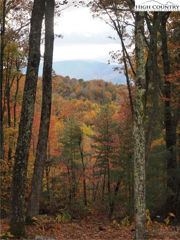 Image number 6 for the current listing