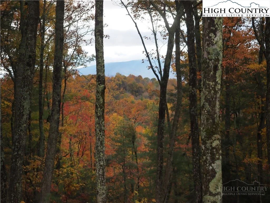 Image number 7 for the current listing