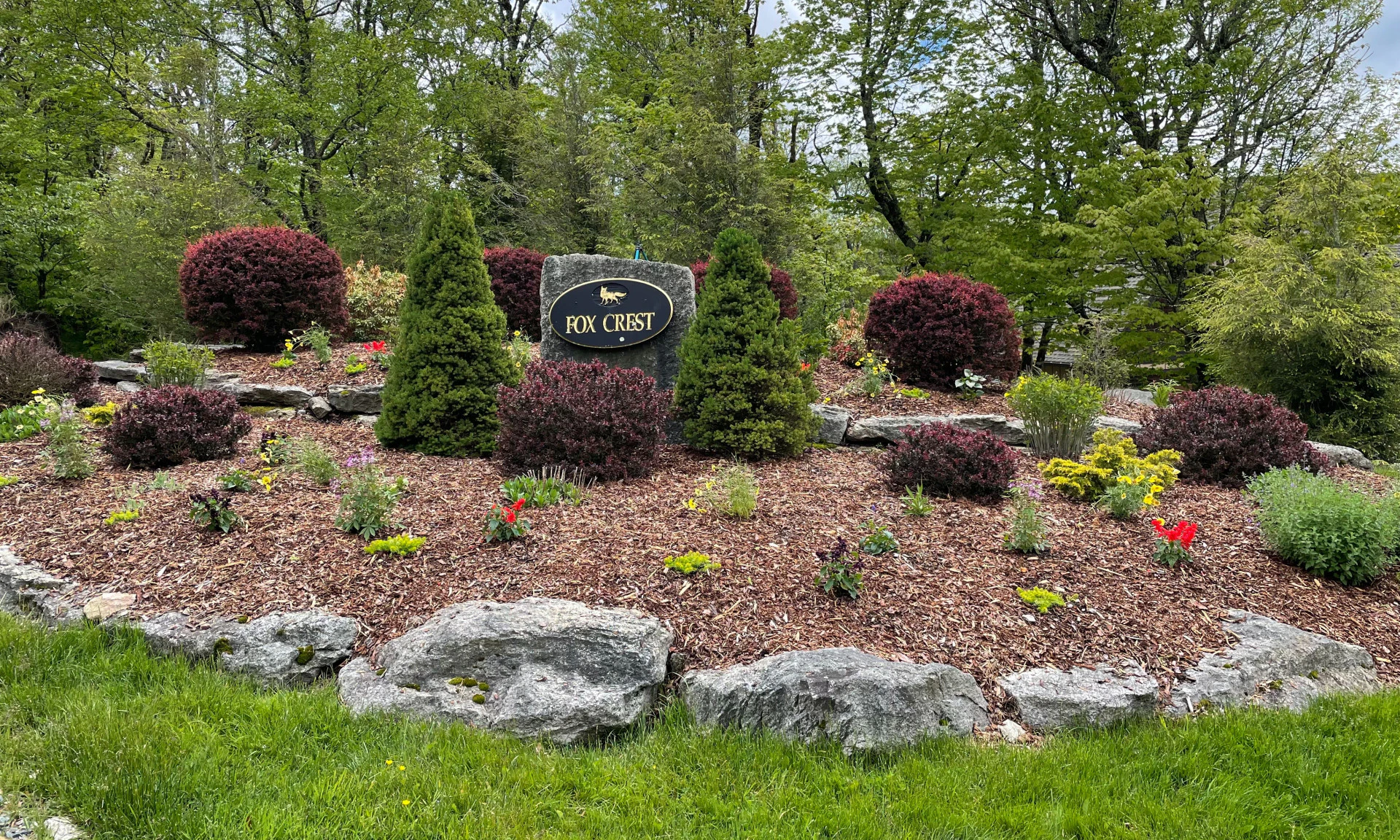 Image number 1 for the current listing