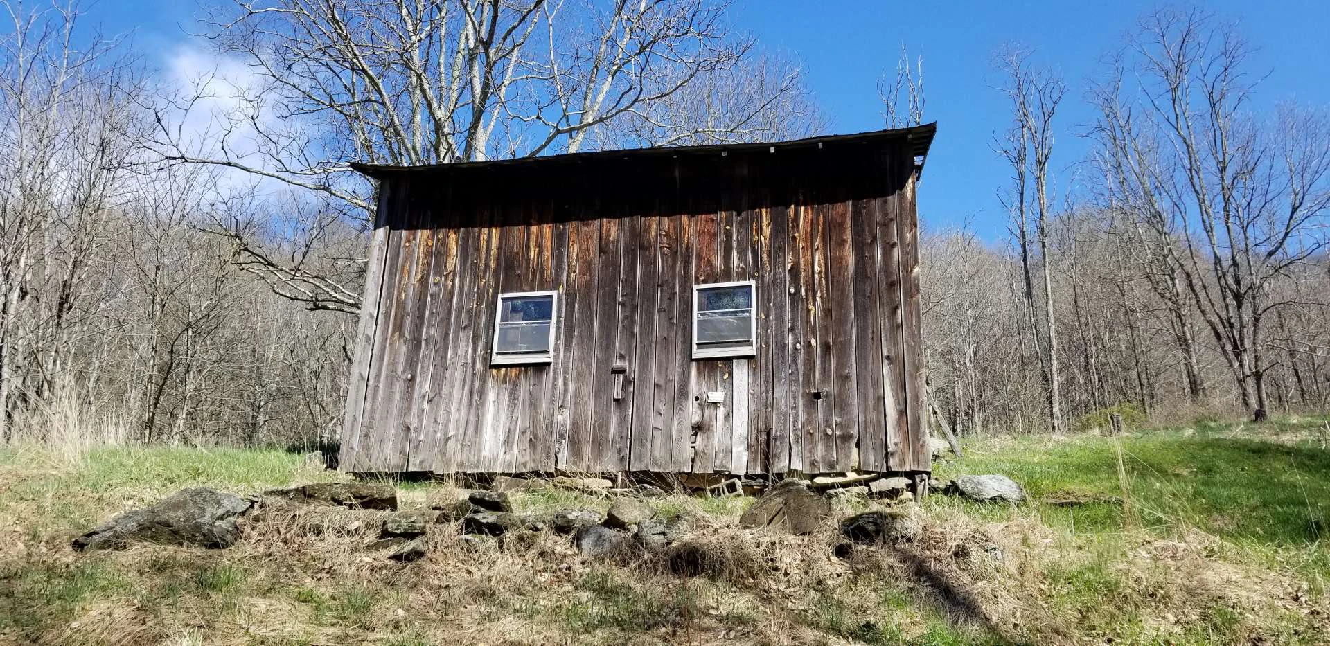 Image number 11 for the current listing