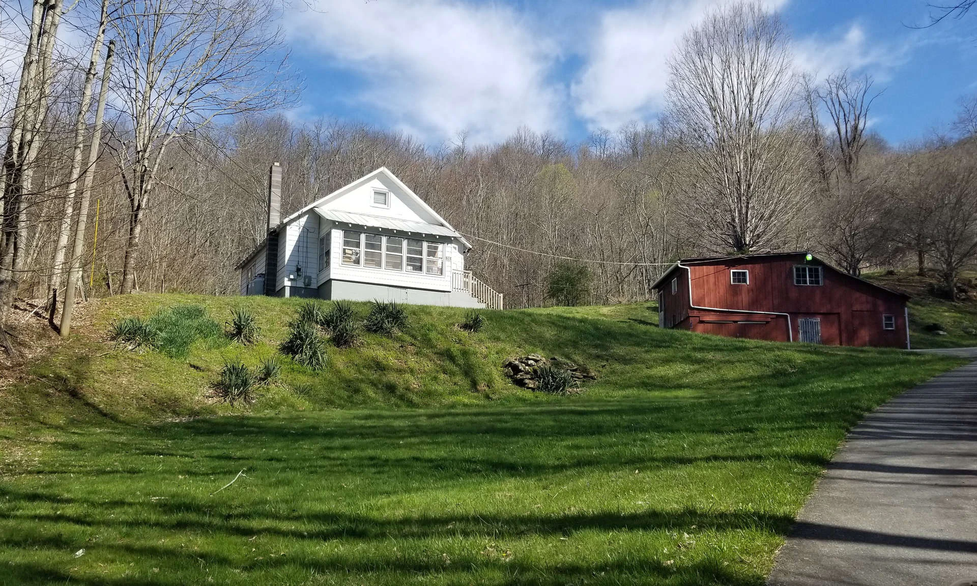 Image number 1 for the current listing