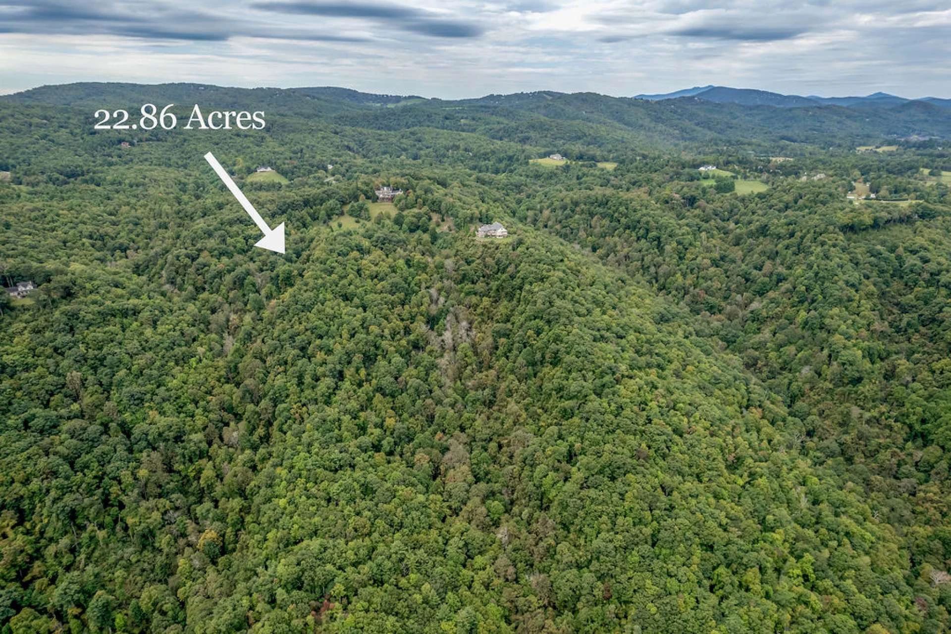 Image number 3 for the current listing
