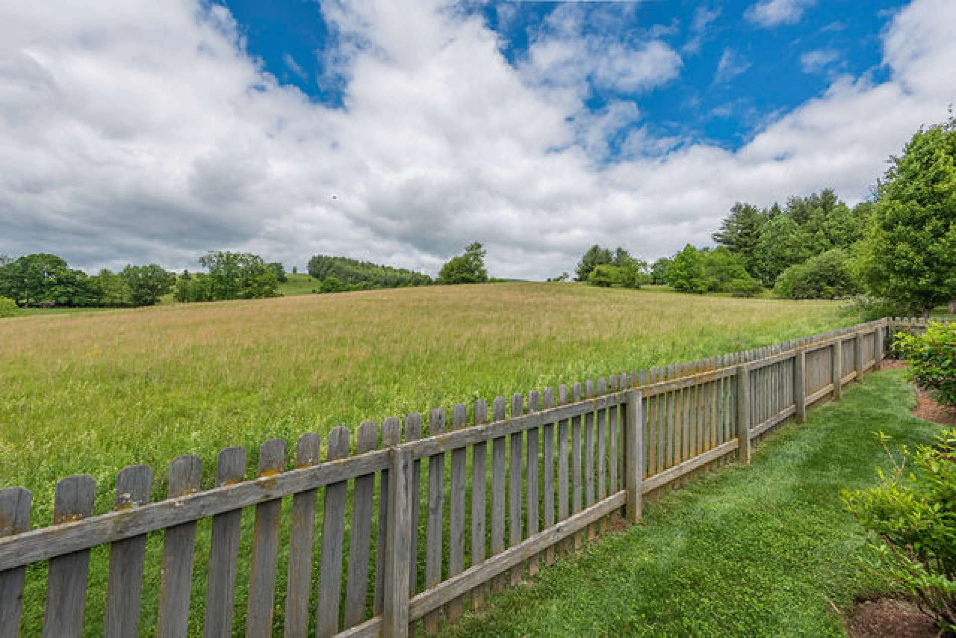Image number 2 for the current listing