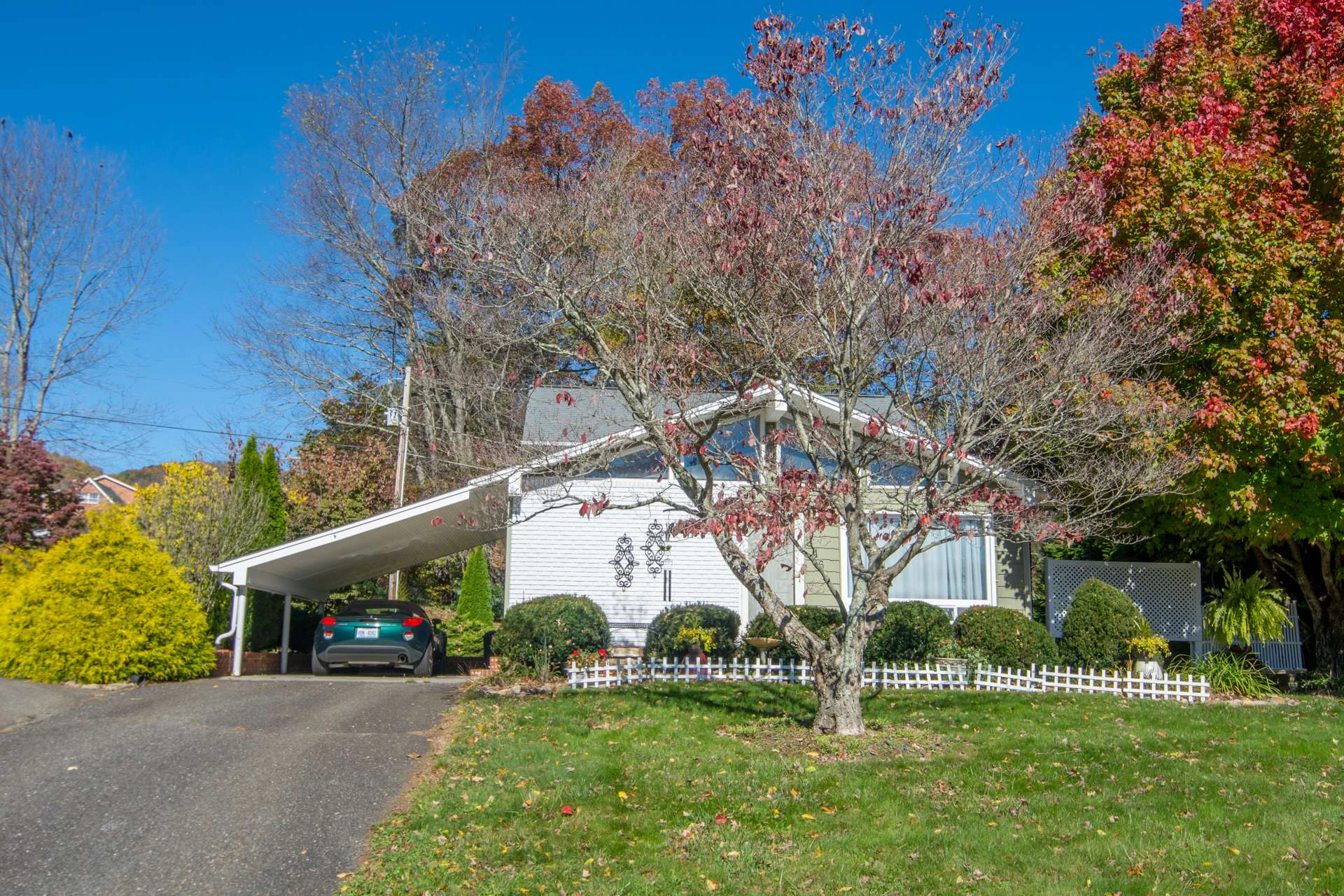 Image number 20 for the current listing
