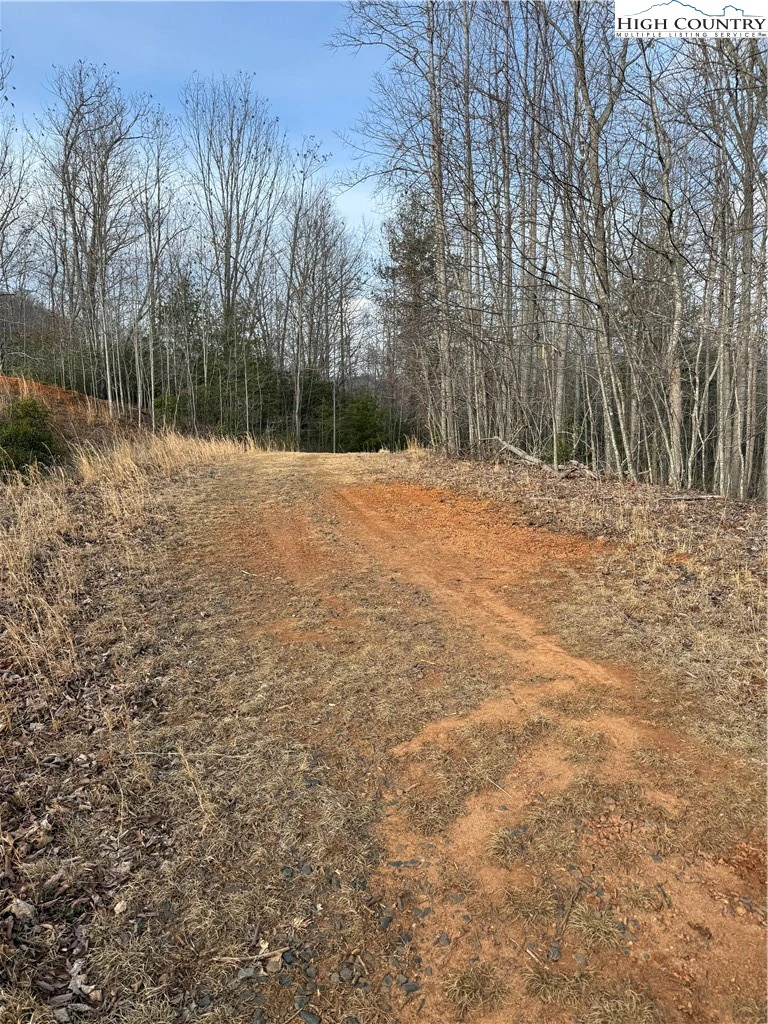 Image number 1 for the current listing