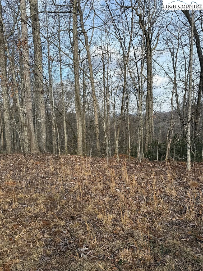 Image number 3 for the current listing