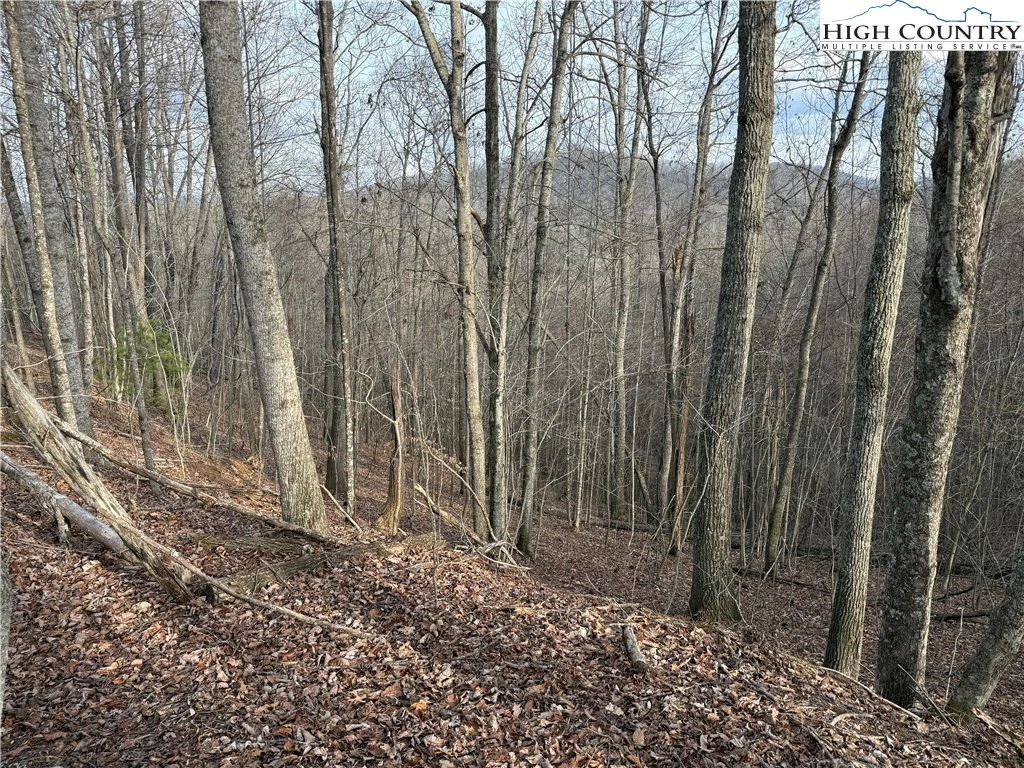 Image number 7 for the current listing
