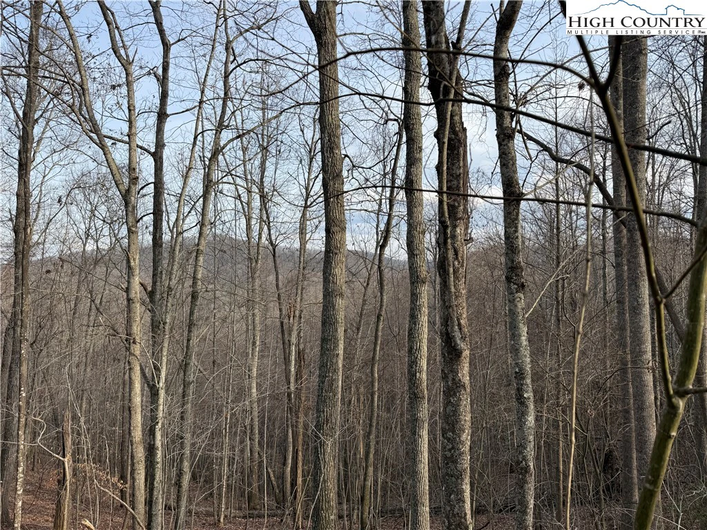 Image number 9 for the current listing