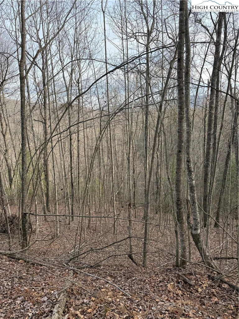 Image number 11 for the current listing