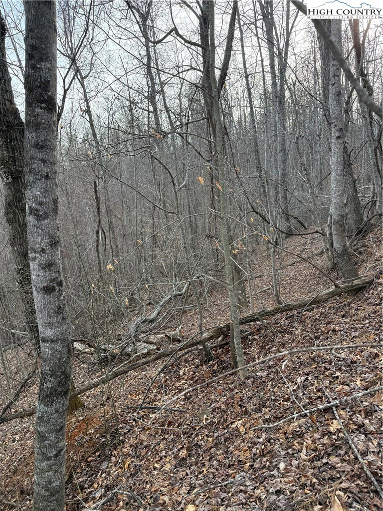Image number 12 for the current listing