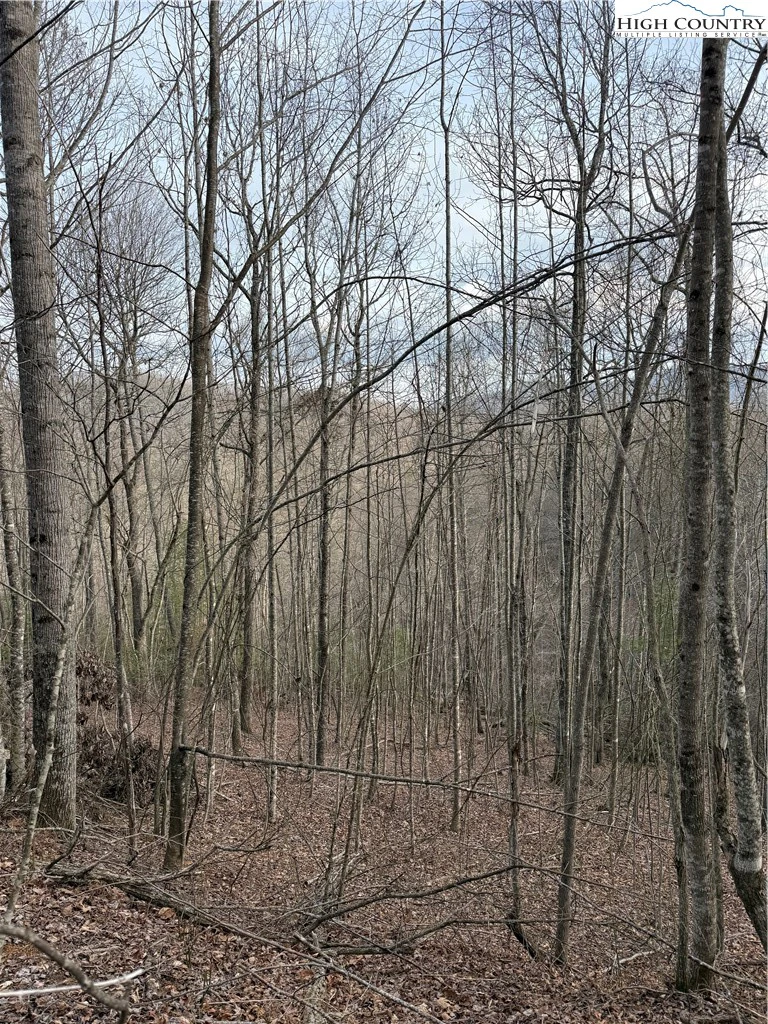 Image number 13 for the current listing