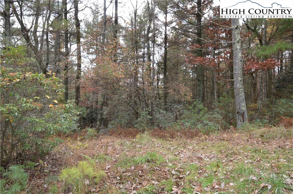Image number 1 for the current listing