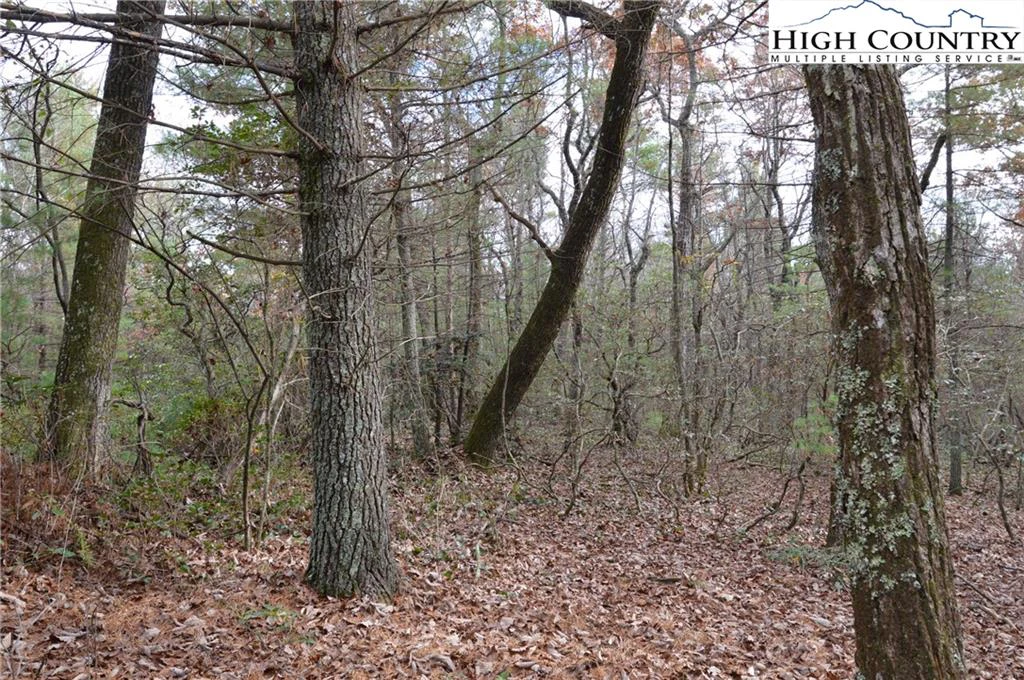 Image number 2 for the current listing