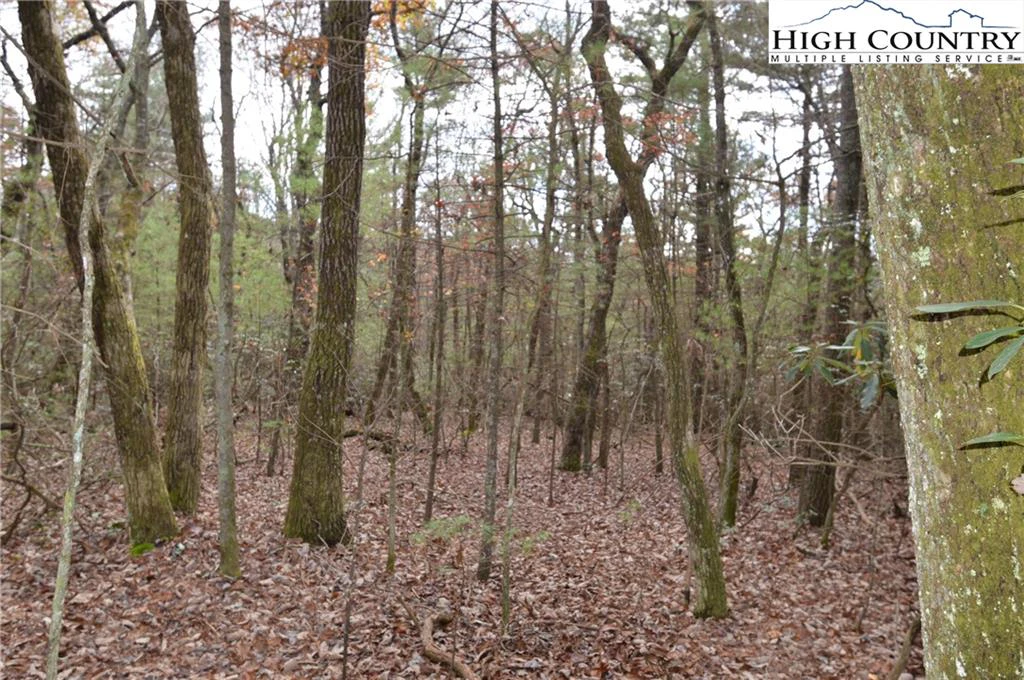 Image number 12 for the current listing