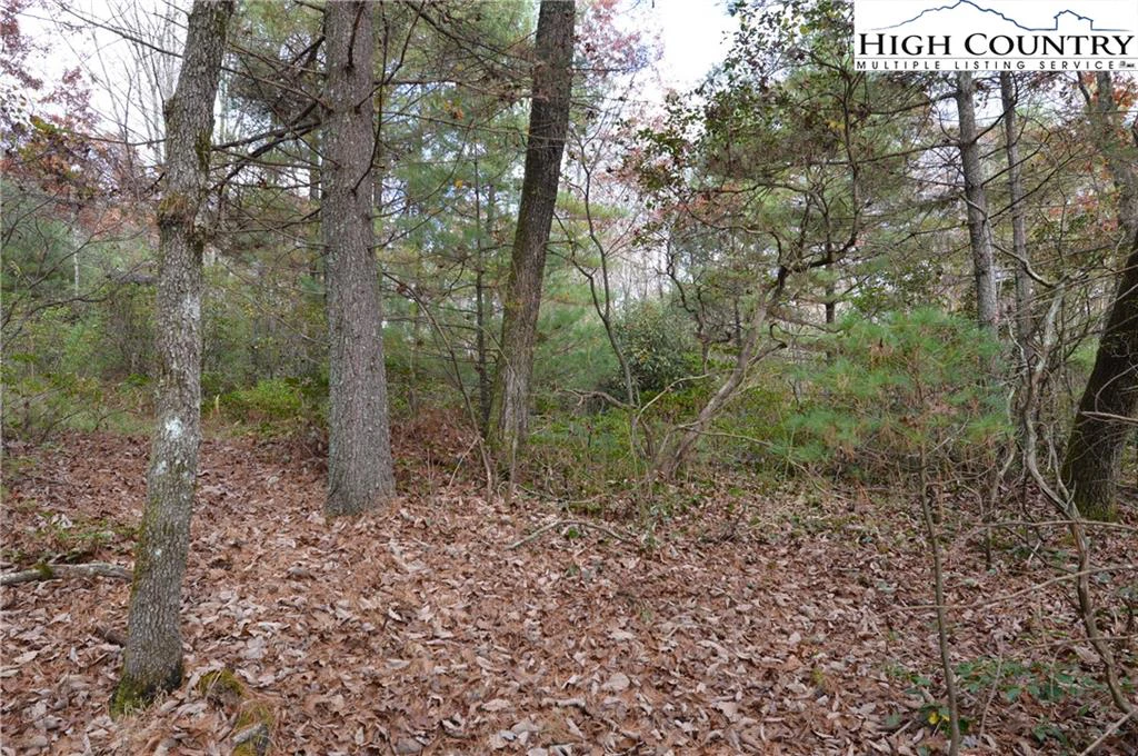 Image number 11 for the current listing
