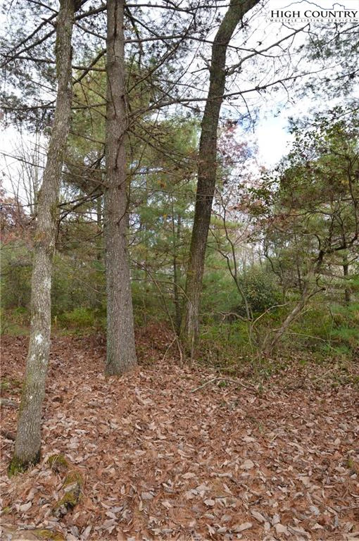 Image number 10 for the current listing