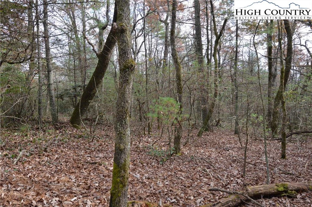 Image number 9 for the current listing