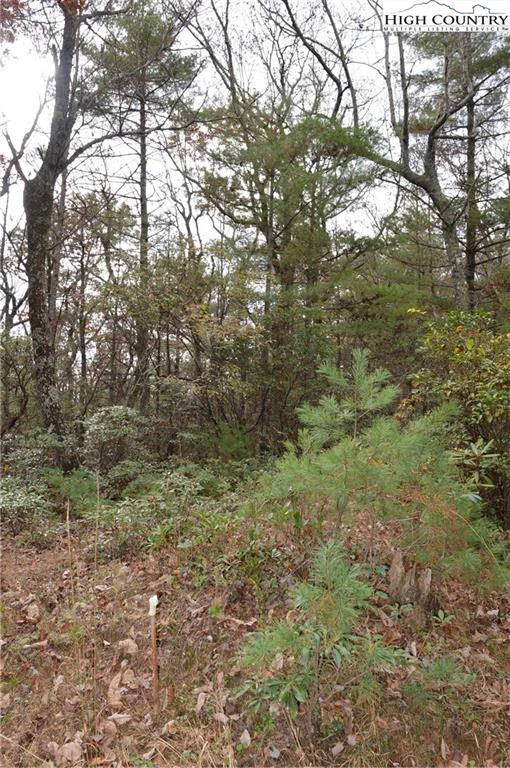 Image number 8 for the current listing