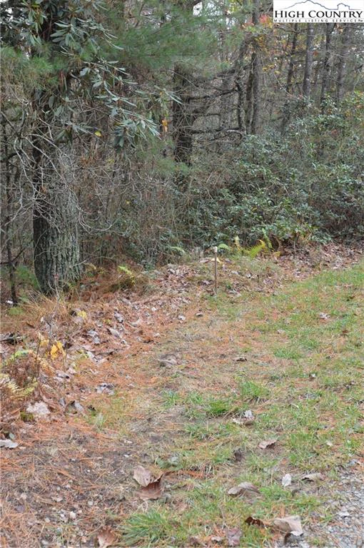 Image number 6 for the current listing