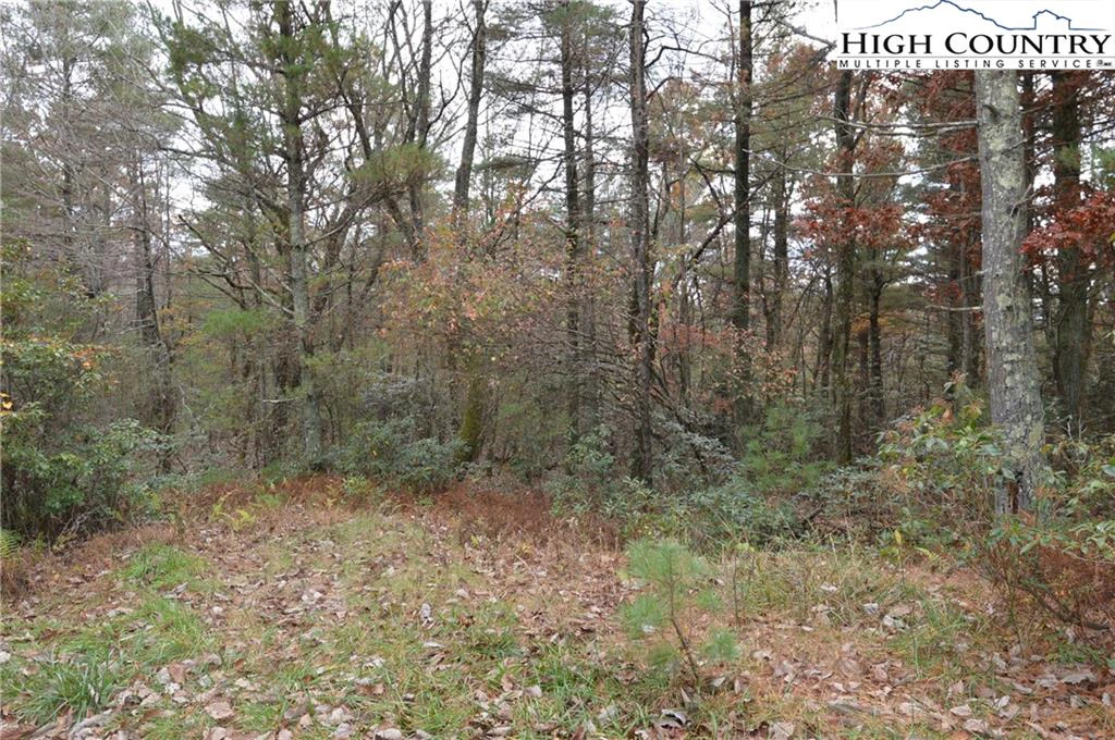 Image number 5 for the current listing