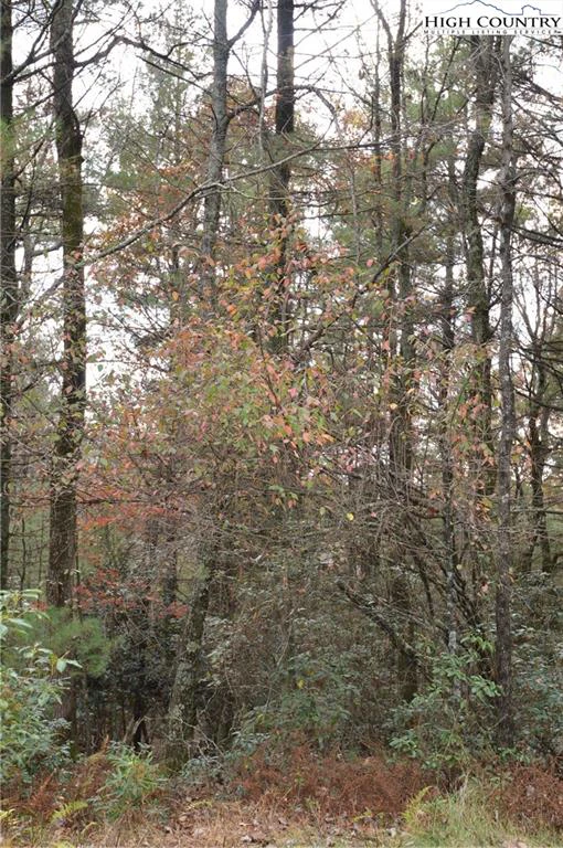 Image number 21 for the current listing