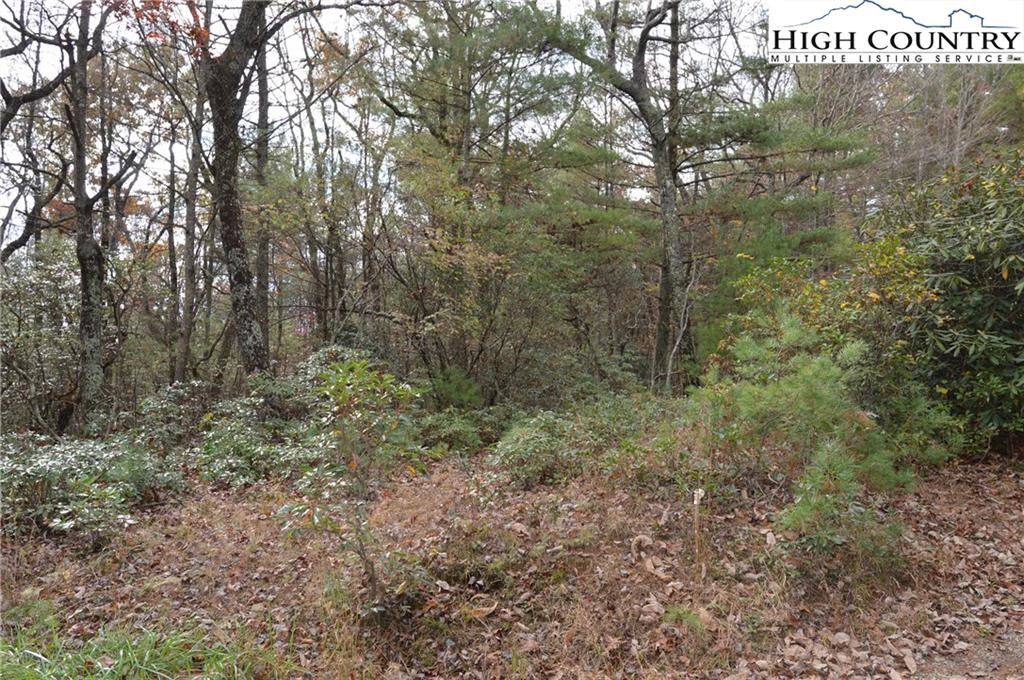 Image number 4 for the current listing