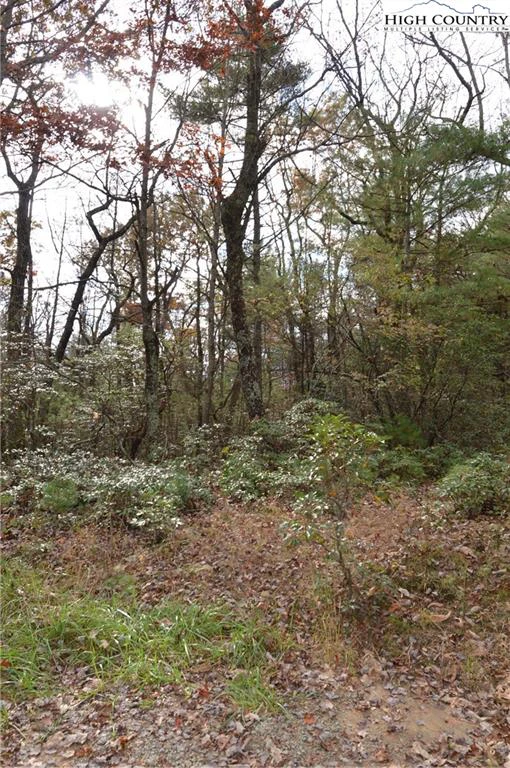 Image number 3 for the current listing