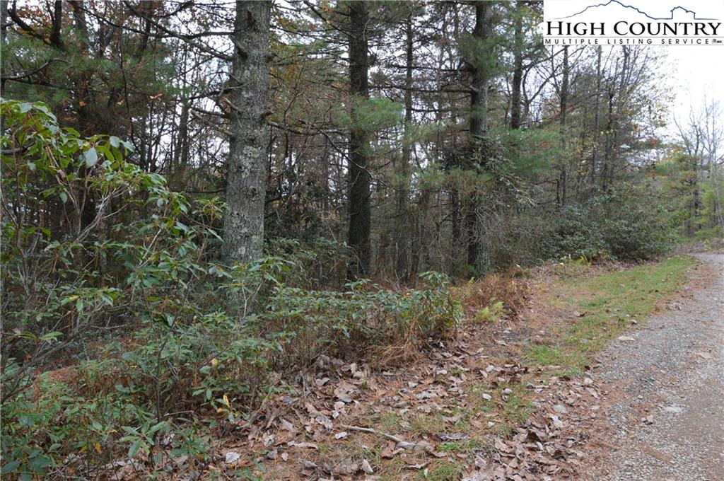 Image number 20 for the current listing