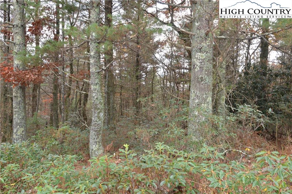 Image number 19 for the current listing