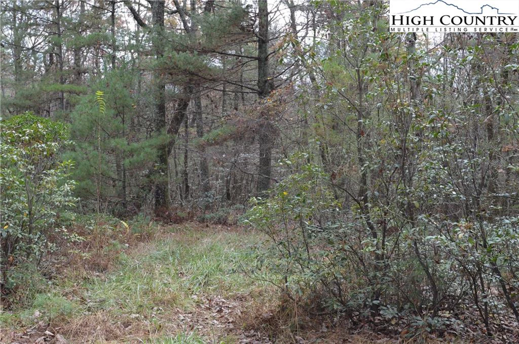 Image number 18 for the current listing