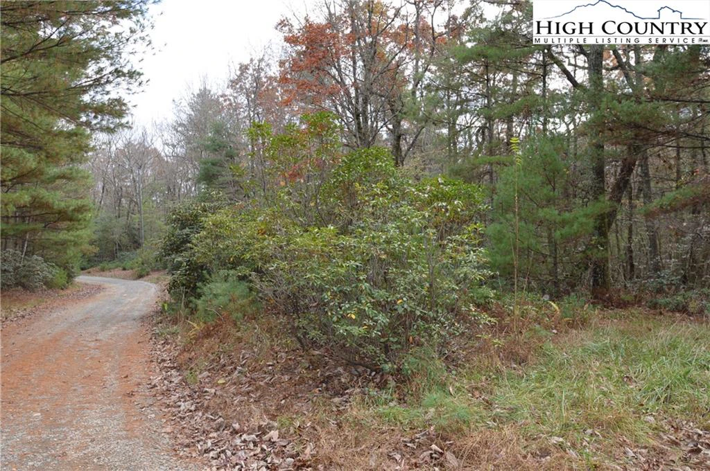 Image number 16 for the current listing