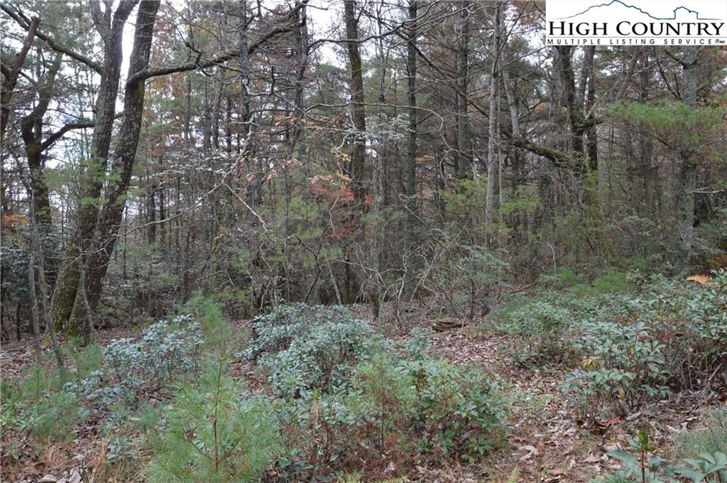 Image number 15 for the current listing