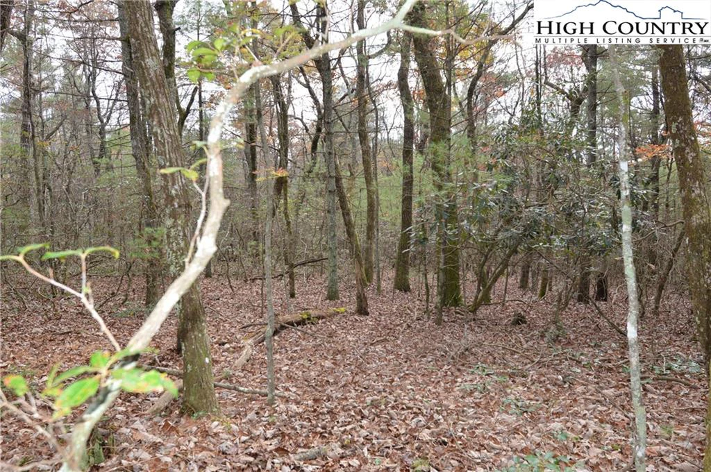 Image number 14 for the current listing