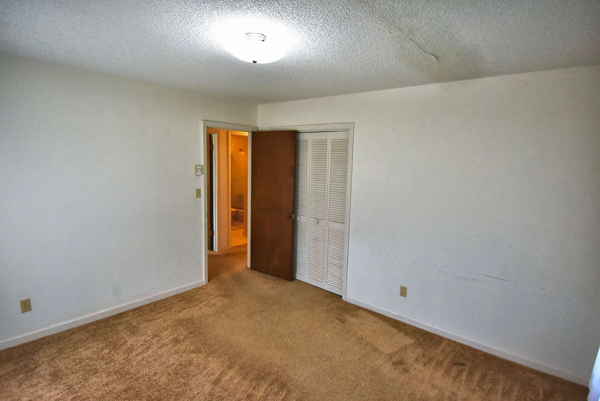 Image number 7 for the current listing