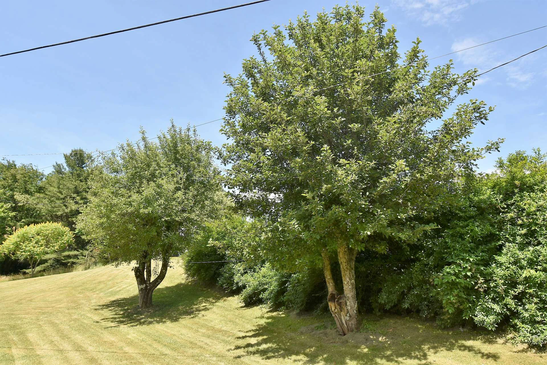 Image number 16 for the current listing