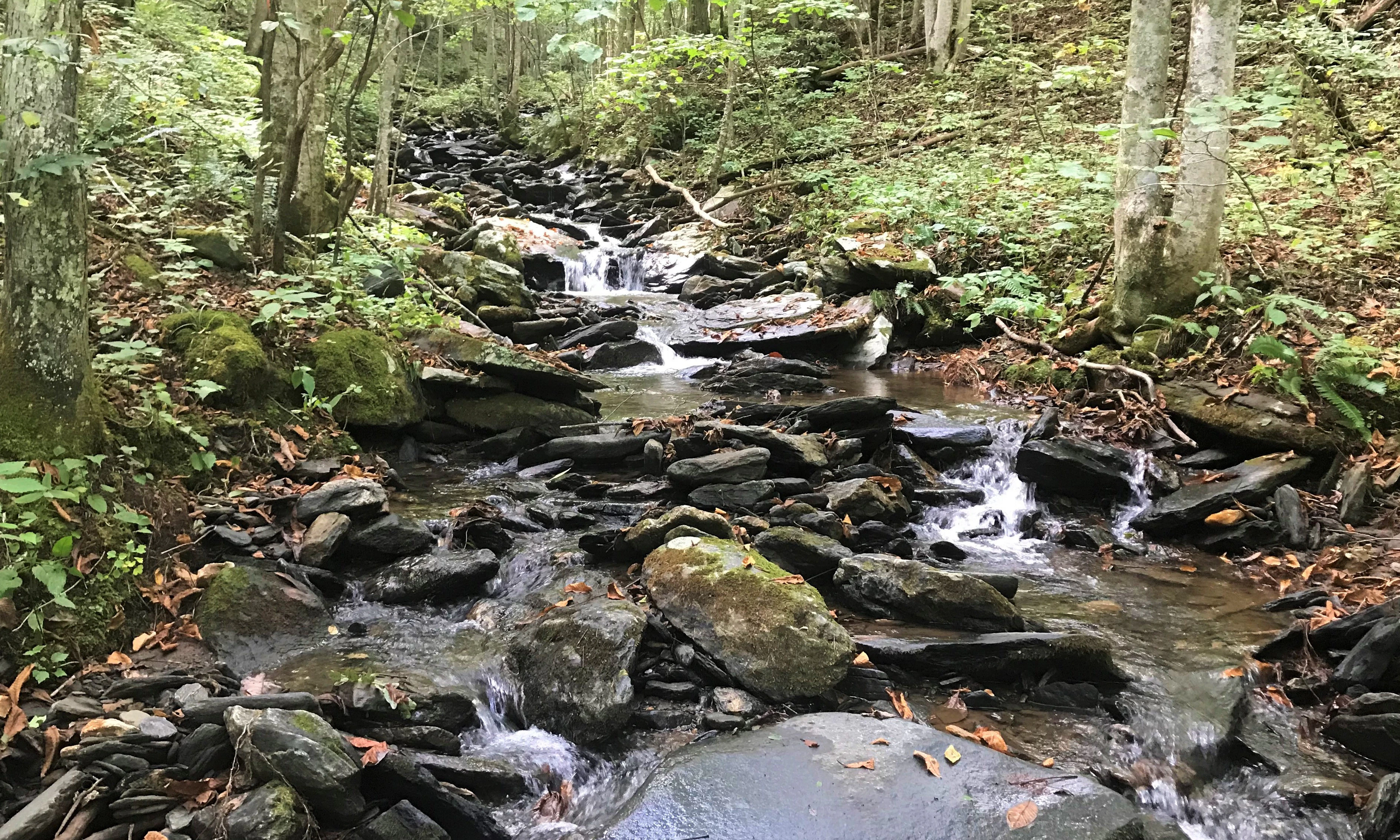 Image number 1 for the current listing