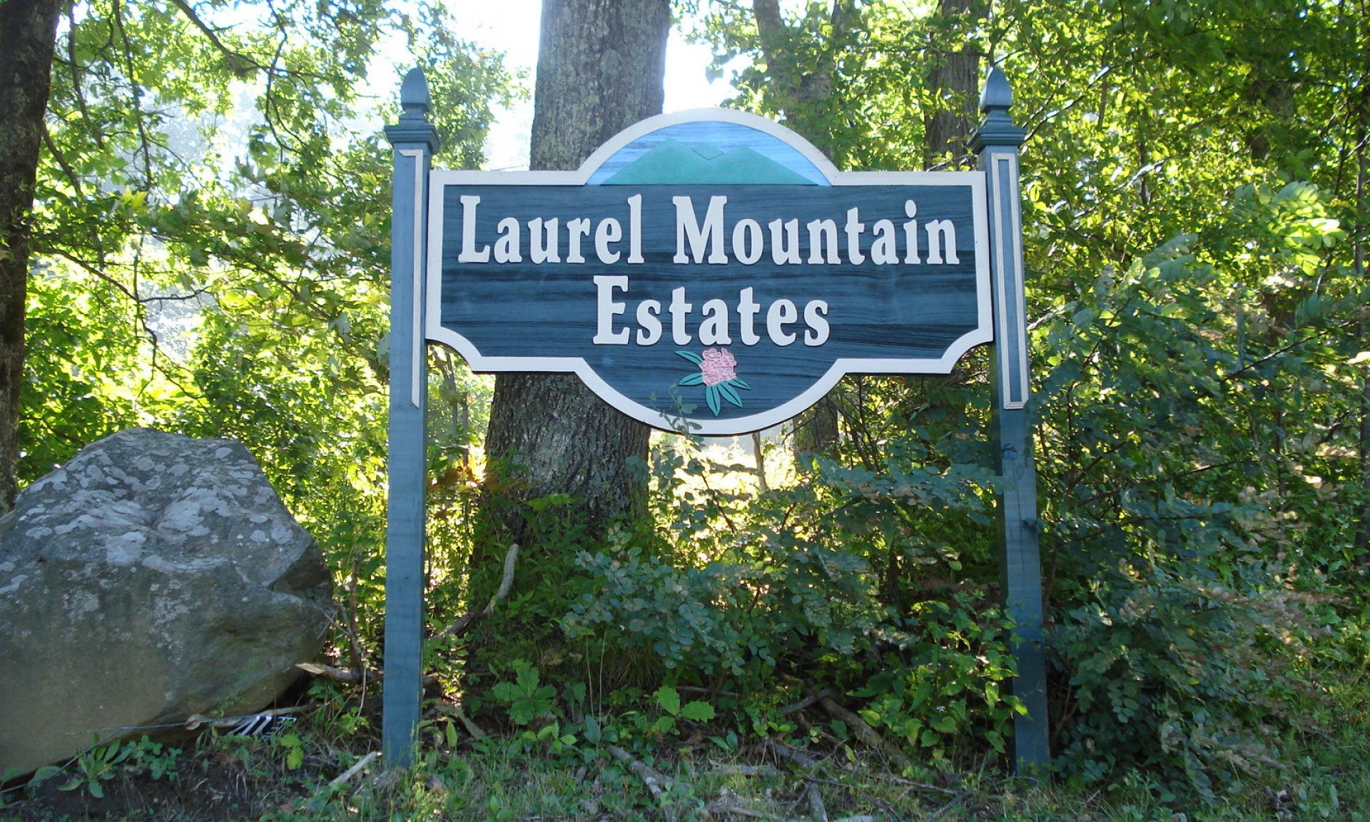 Image number 1 for the current listing
