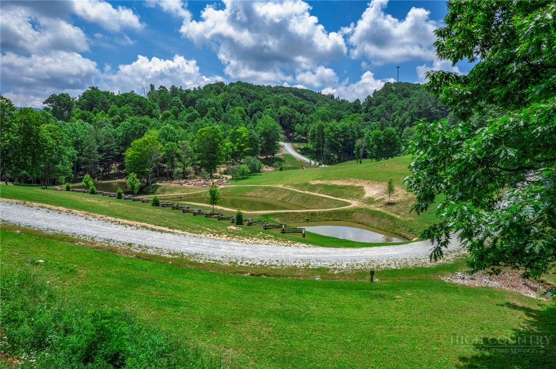 Image number 1 for the current listing