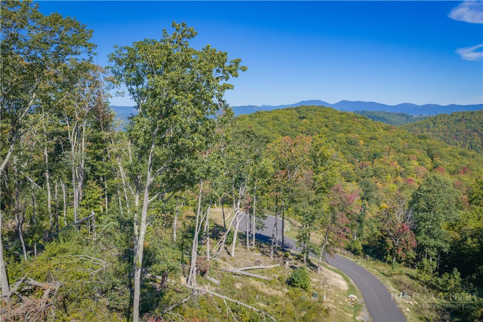 Image number 1 for the current listing