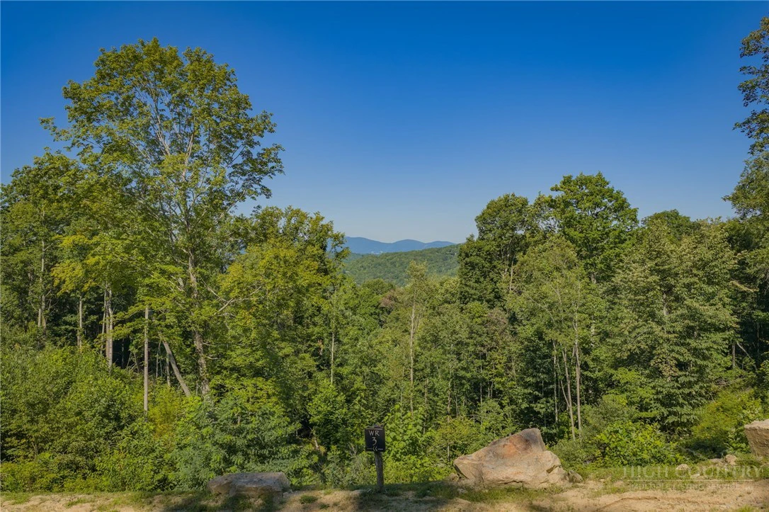 Image number 1 for the current listing