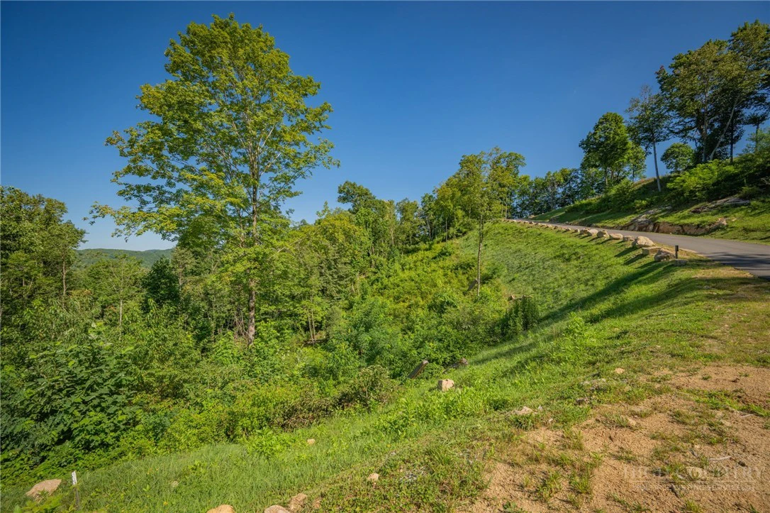 Image number 2 for the current listing