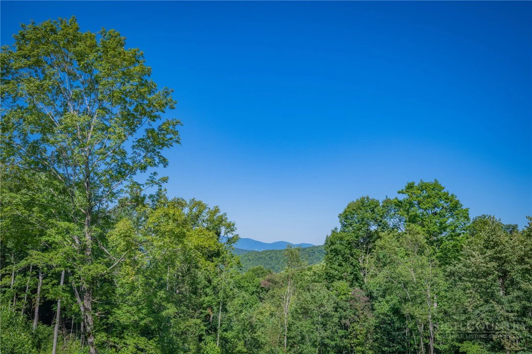 Image number 3 for the current listing