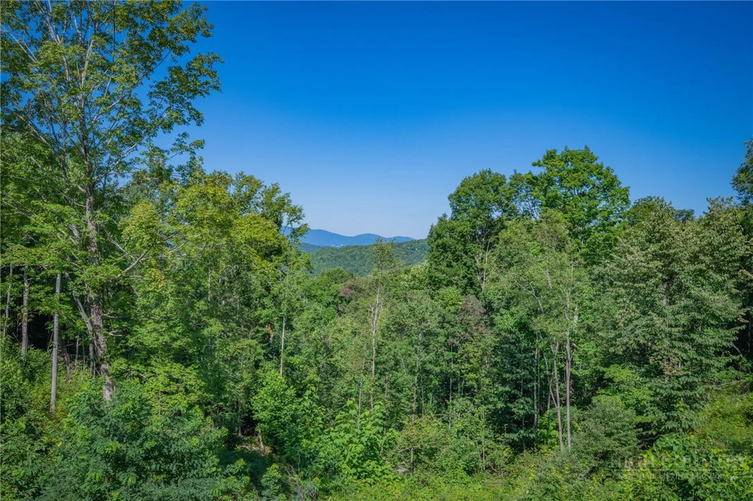 Image number 4 for the current listing