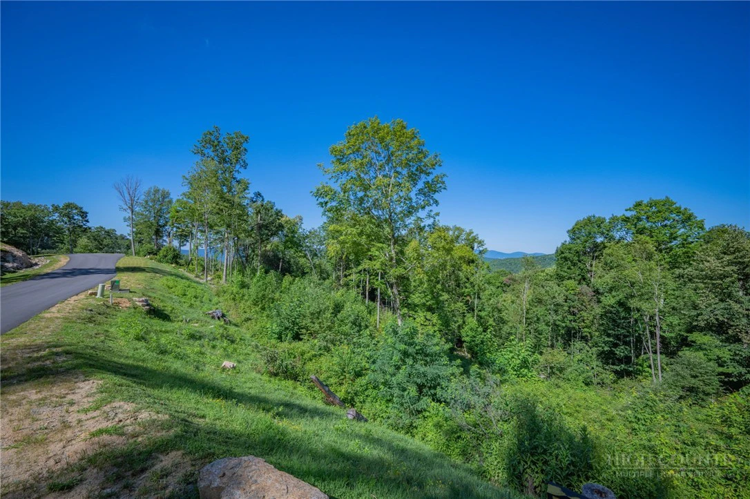 Image number 6 for the current listing