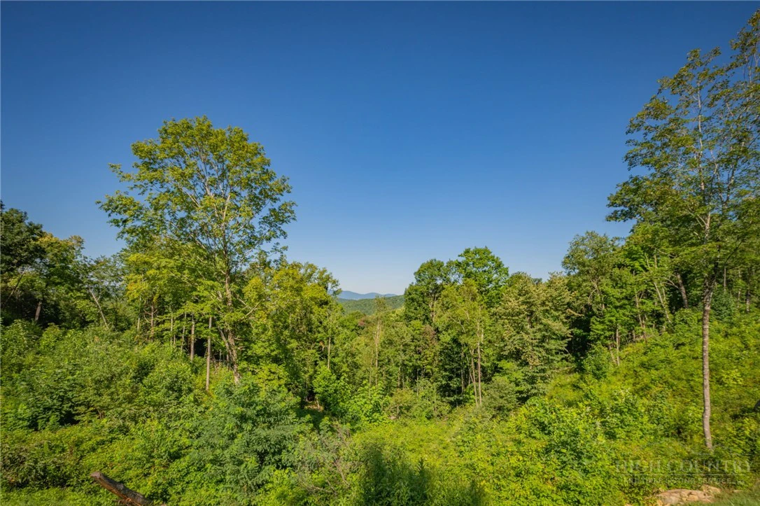 Image number 7 for the current listing