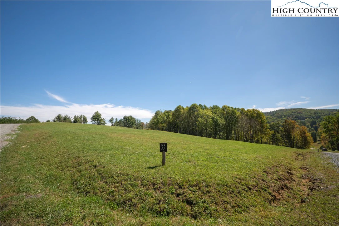 Image number 1 for the current listing